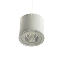    LED,20w,6000K (white) Ls-10-046/20 