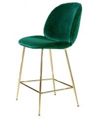    Beetle (Green) Fc-01050      ()